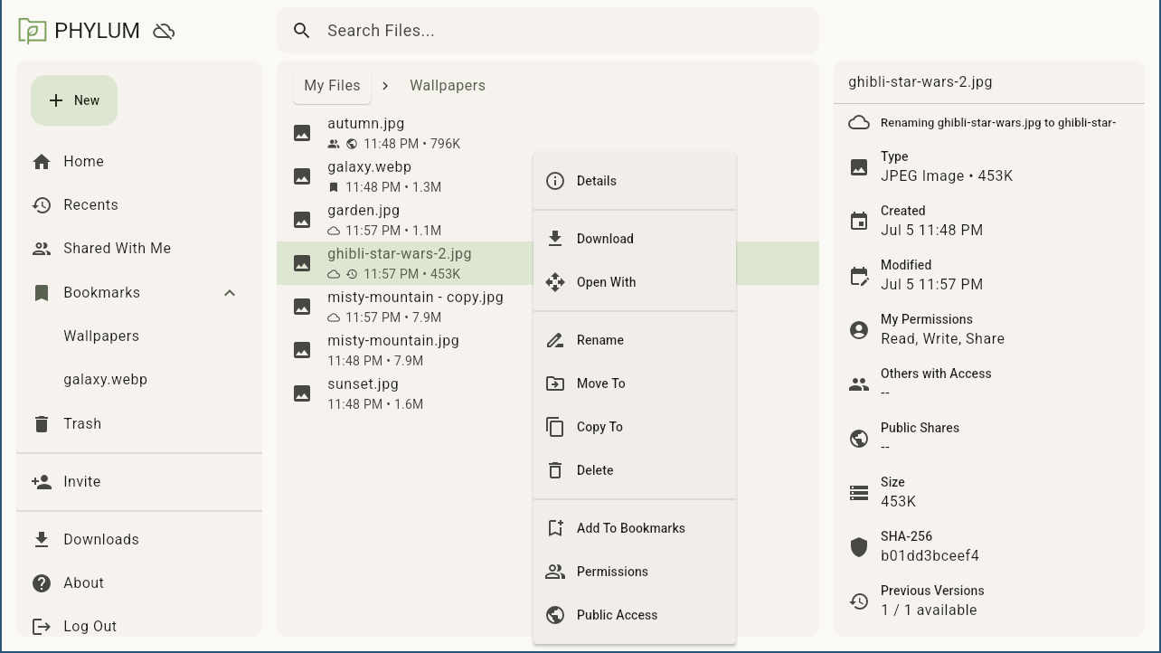 Self-hosted file storage, not AI memory